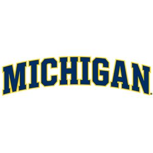 Michigan Wolverines Decal 10in x 3in - Party City